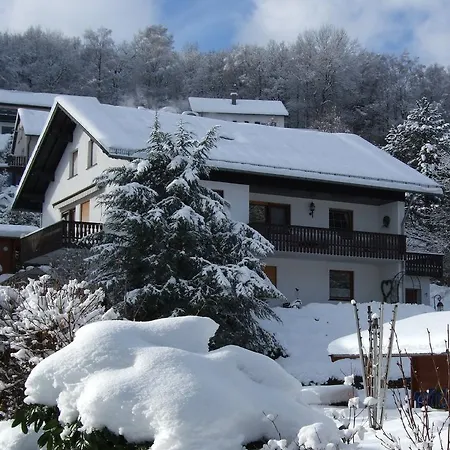 Appartamento Haus Mittelberg Olsberg Camera foto