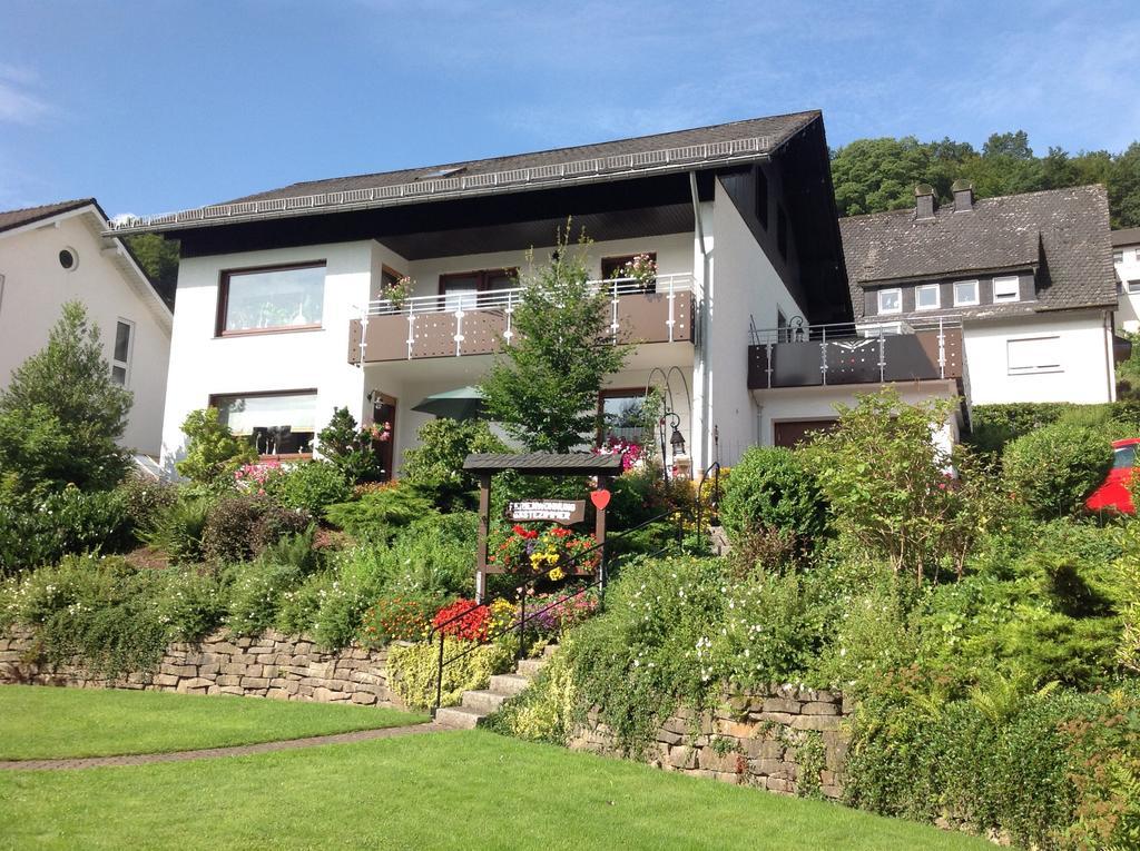 Haus Mittelberg Apartment Olsberg