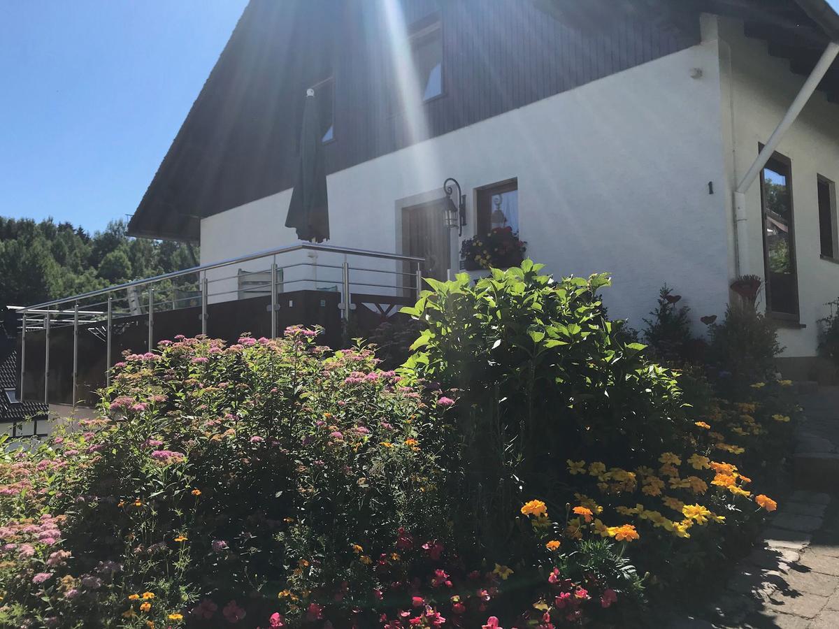 Haus Mittelberg *